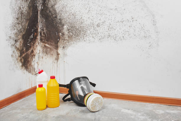Benton City, WA Mold Remediation Company